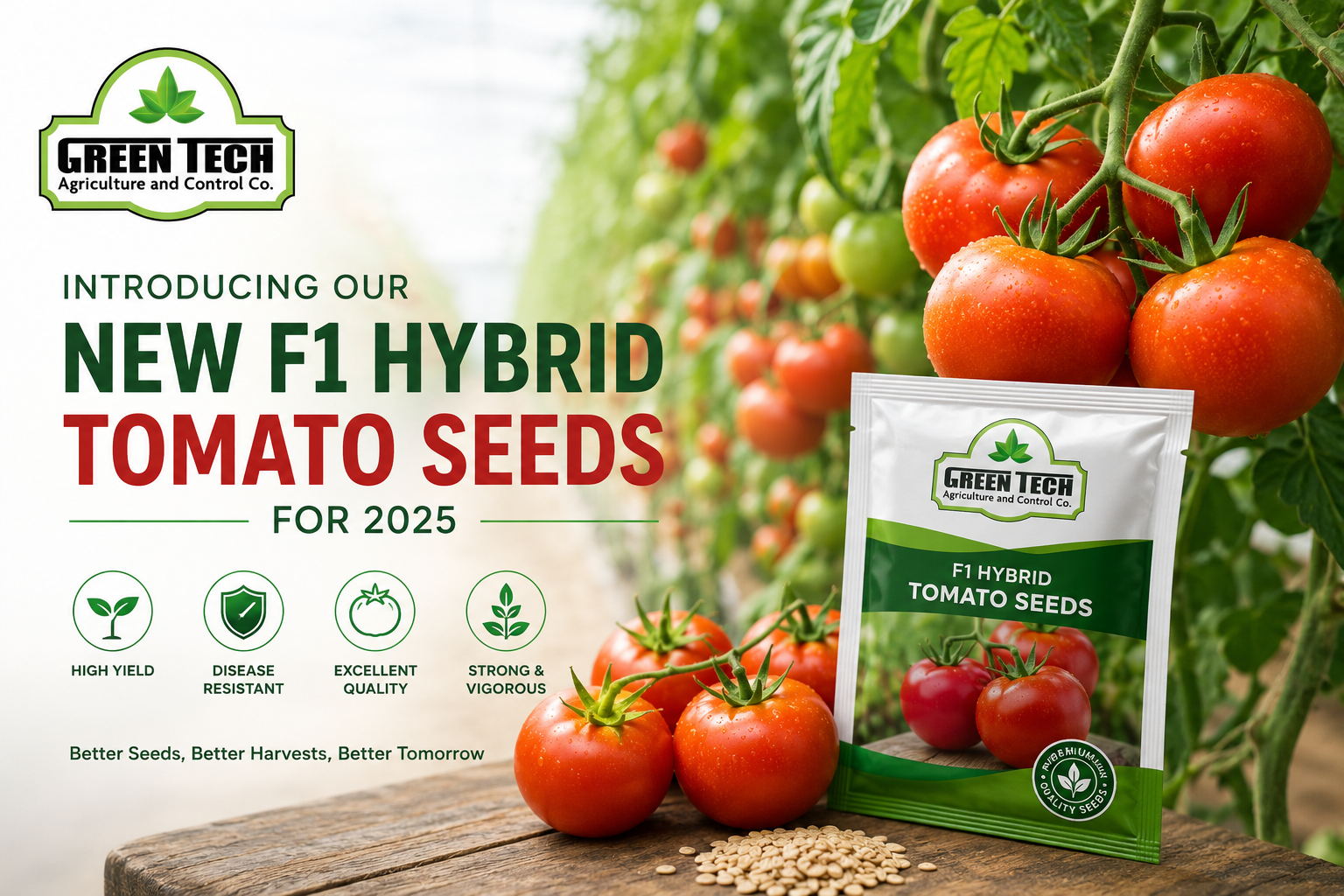 تقديم بذور الطماطم الهجينة F1 الجديدة لعام 2025