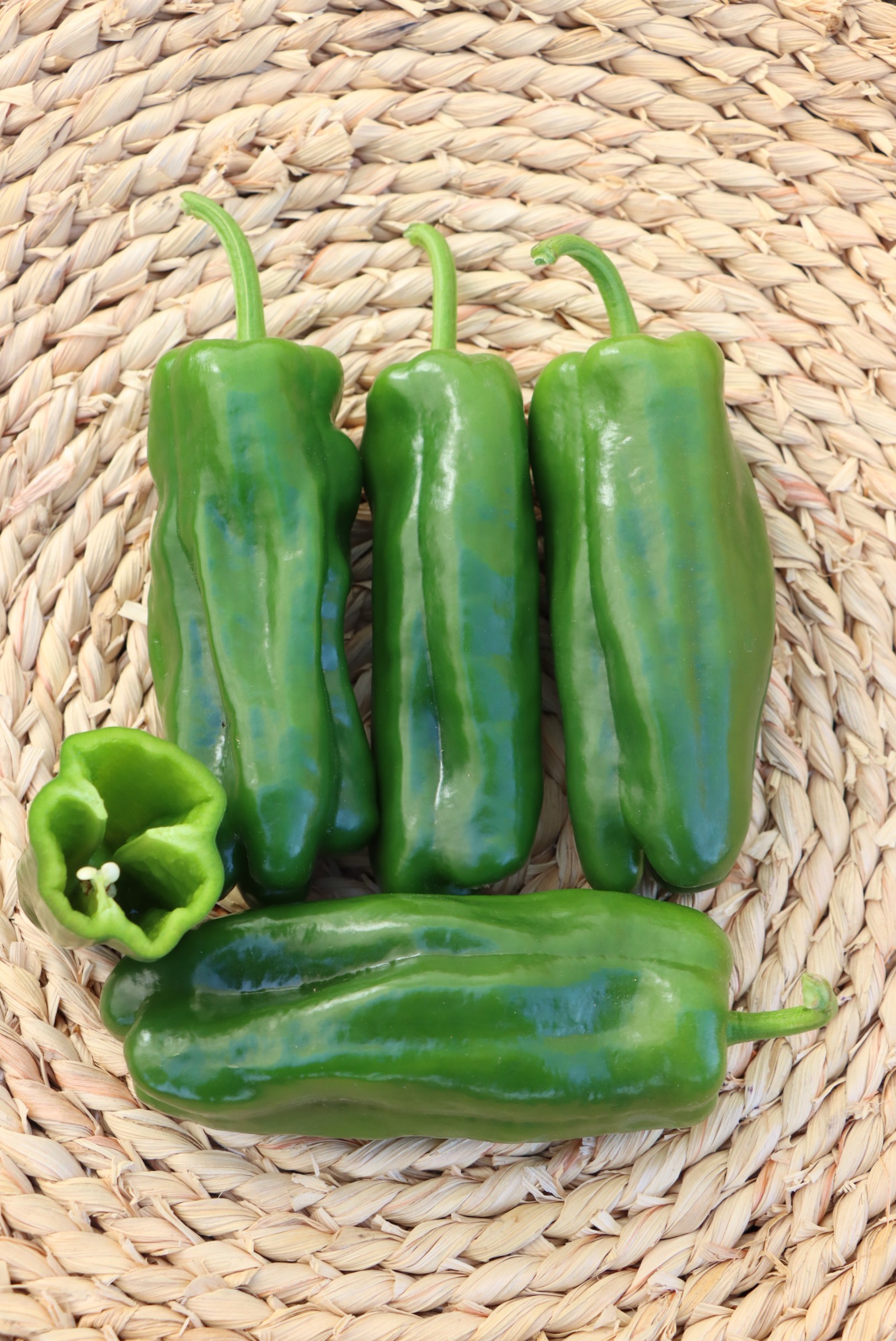 Sweet Pepper No. 14 F1